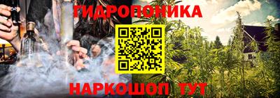 ECSTASY Гатчина