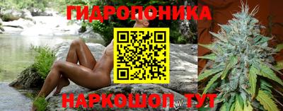 ECSTASY Гатчина