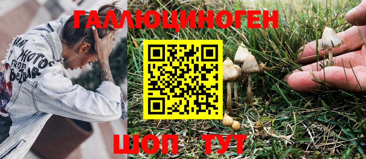 Галлюциногенные грибы MAGIC MUSHROOMS Минусинск